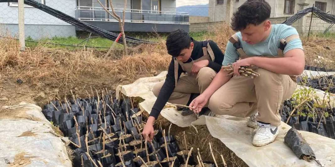 Yok olmaya yüz tutmuştu: Liseliler 5 bin adet yetiştirdi, eğitime de tarıma da katkı sağlandı 3